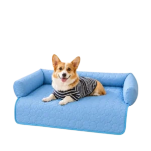 Pawlax